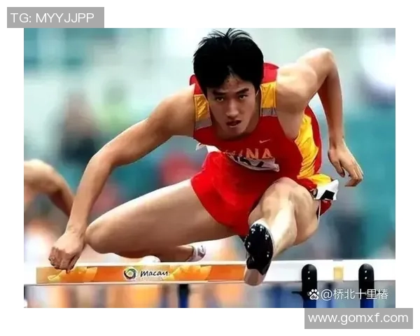 体育明星在奥运会上的表现与排名解析及影响力探讨