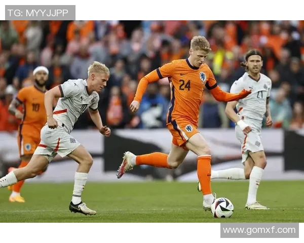 冰岛水瓶座足球明星的传奇人生与赛场辉煌故事