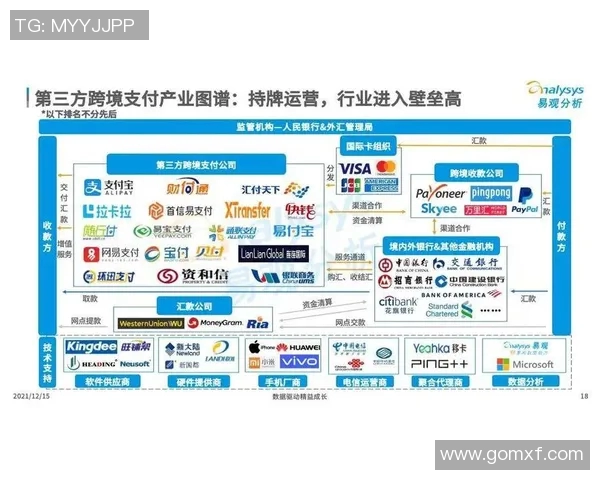 足球明星侵权事件全景解析及法律责任探讨